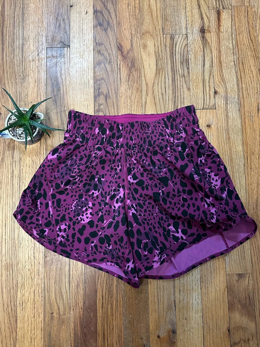LULULEMON. Track That Shorts. Animal Print. Size 6.